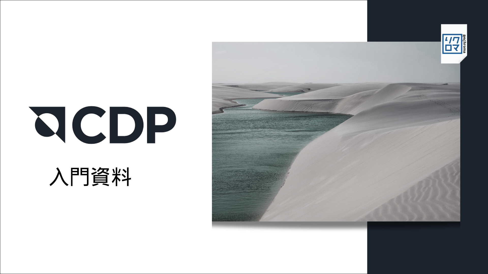 「CDP 統合質問書2025」入門資料