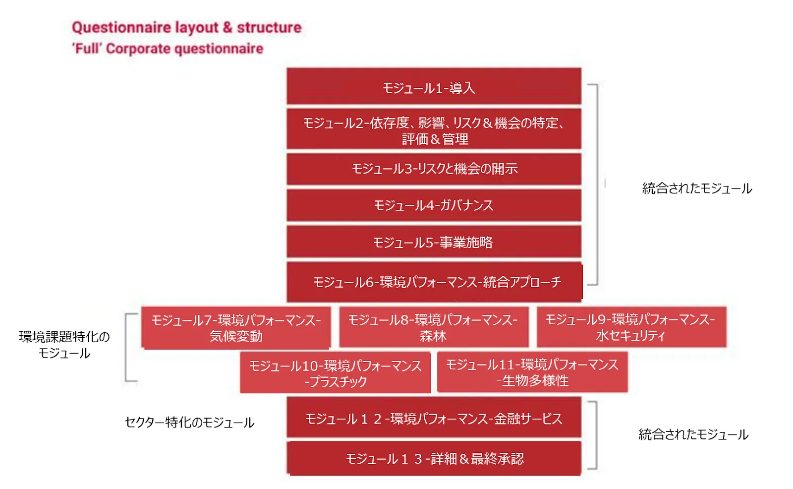 2024年からの質問書の構成