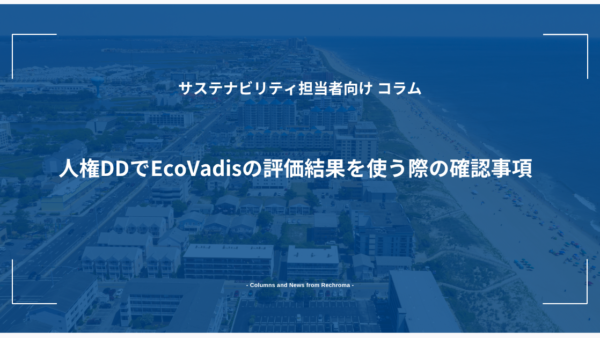 人権DDでEcoVadisの評価結果を使う際の確認事項