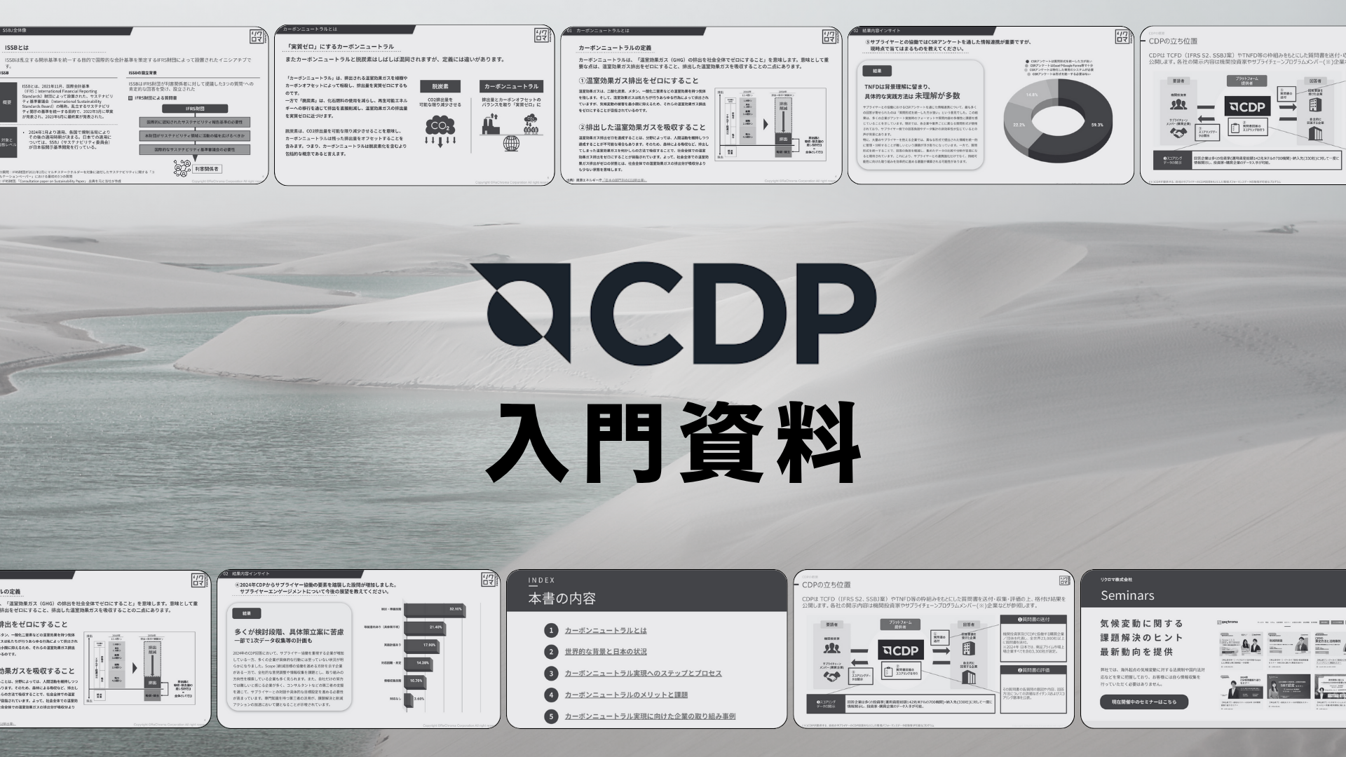 「CDP 統合質問書2025」入門資料