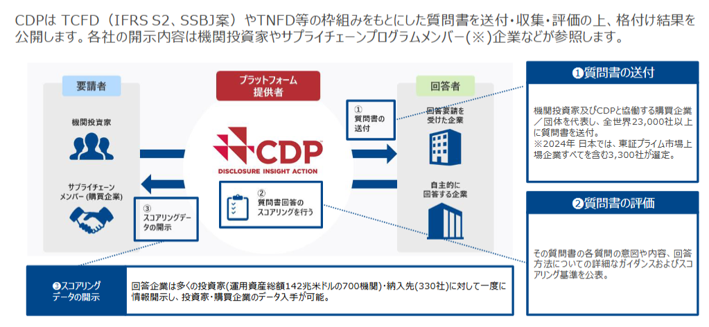 CDPの役割や立ち位置についての図