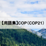COP（COP21）