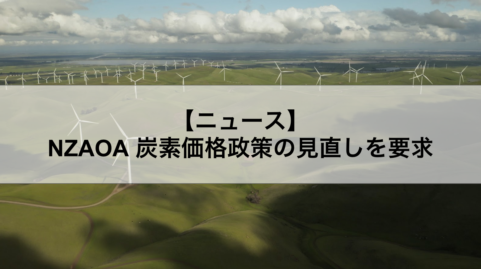 NZAOA 炭素価格政策の見直しを要求